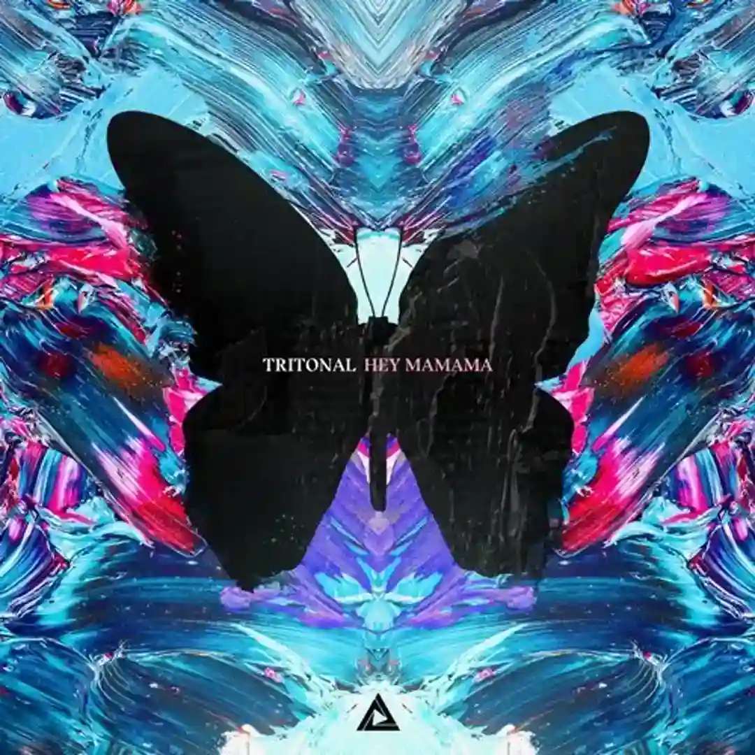 Hey Mamama (Extended Mix) cover