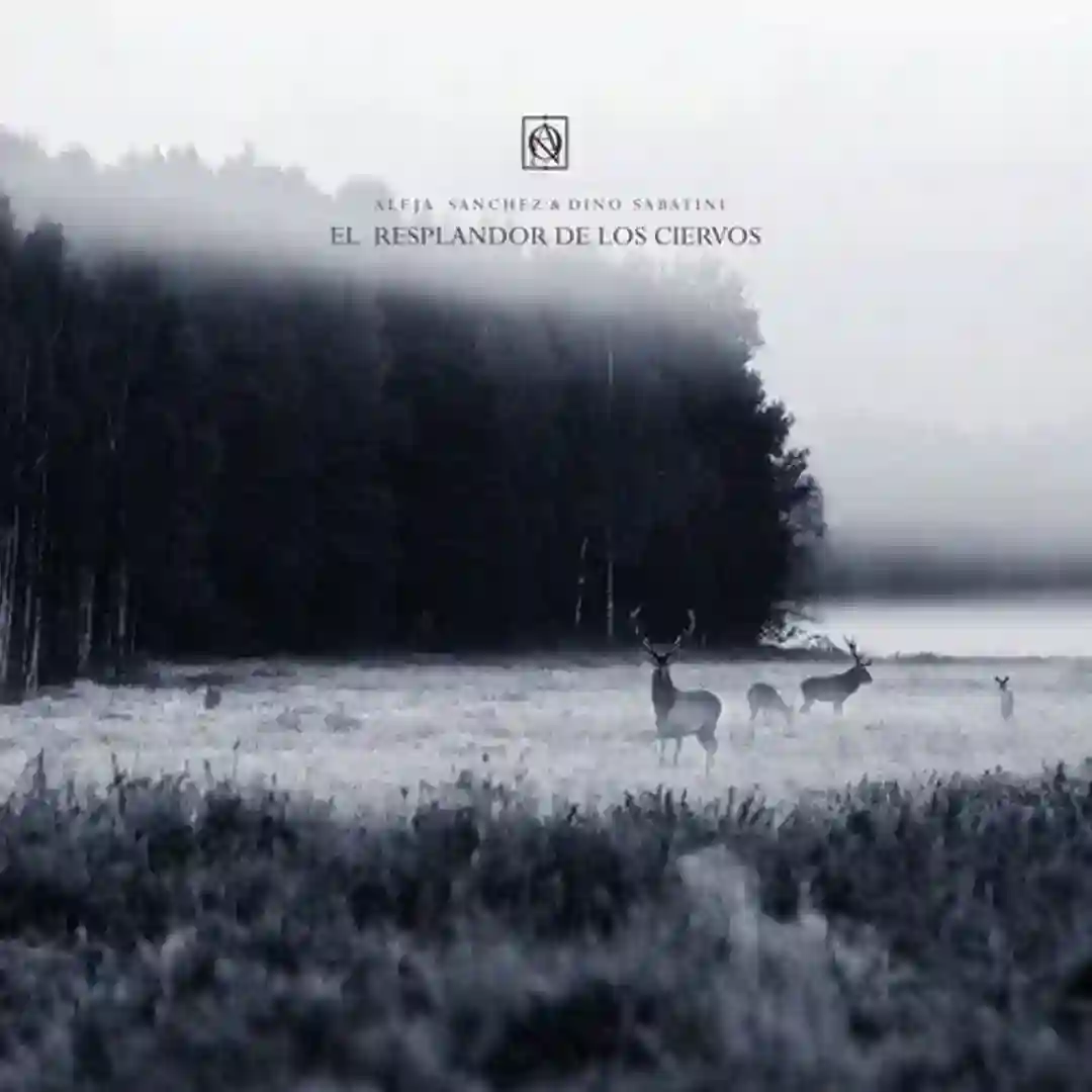Rama y Cuerno (Original Mix) cover