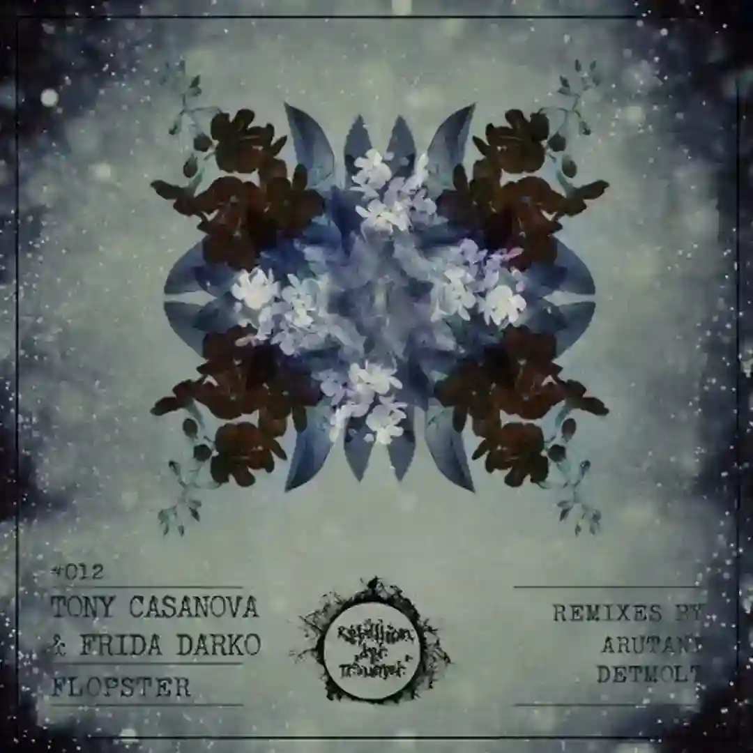 Flopster (Original Mix) cover