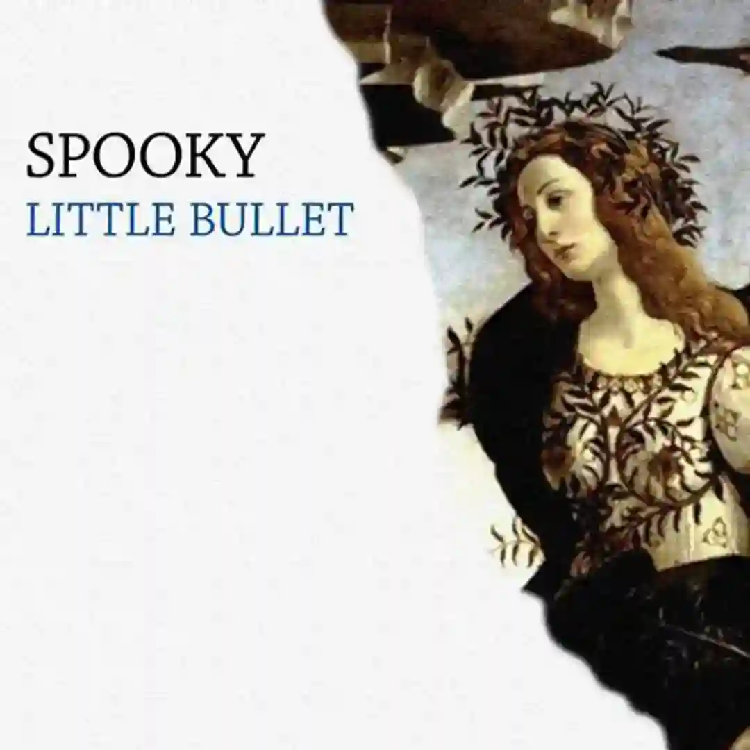 Little Bullet (Hollowpoint Dub) cover