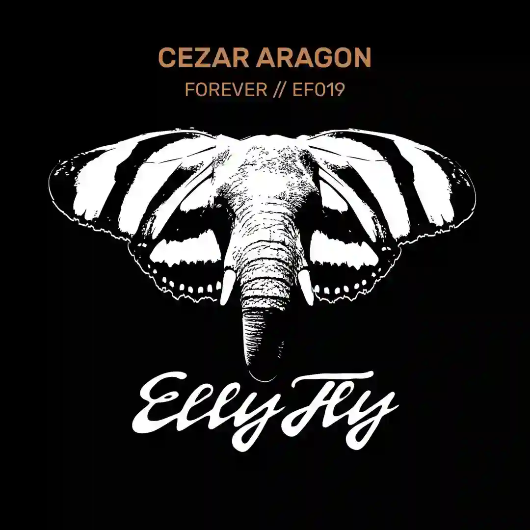 Forever (Extended Mix) cover