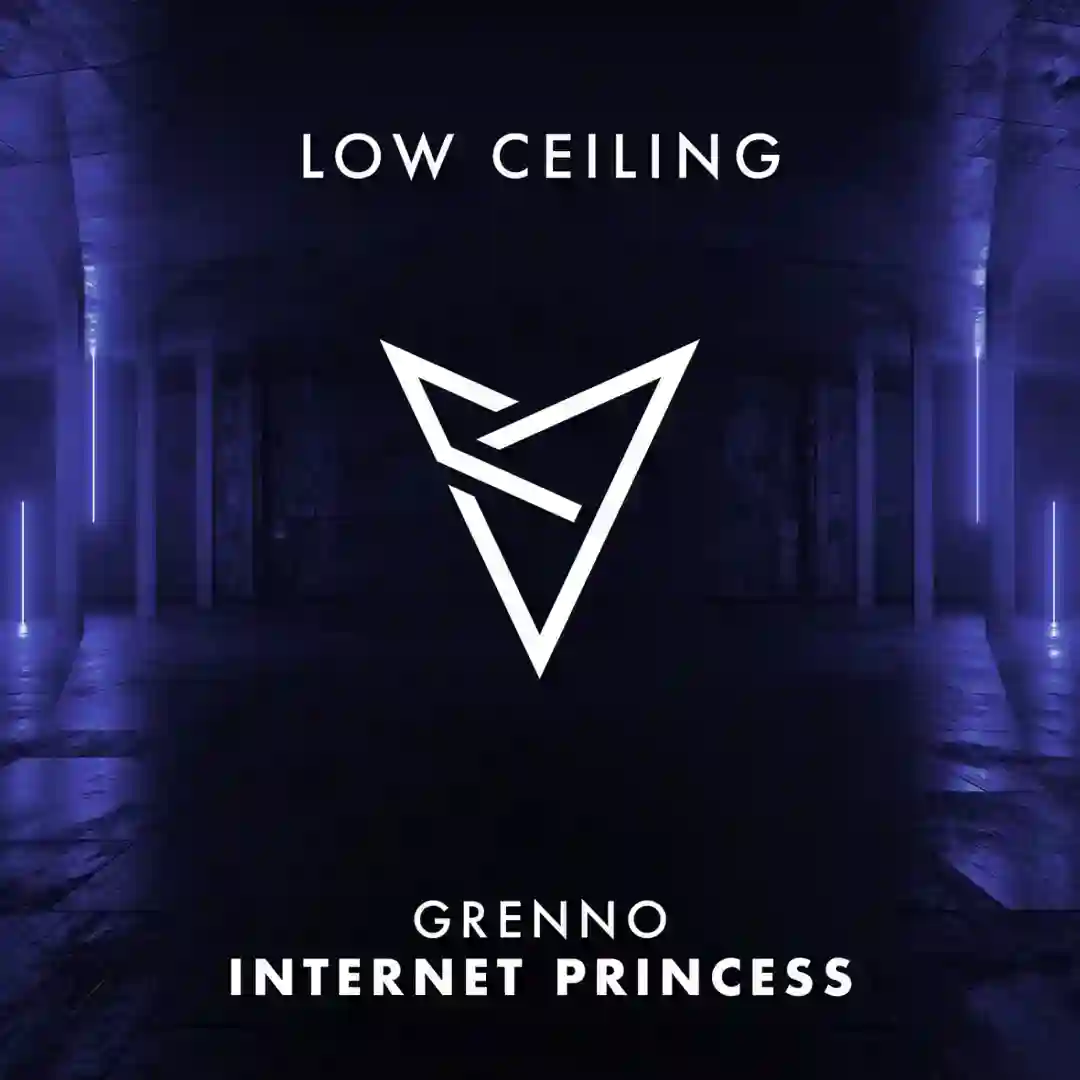 INTERNET PRINCESS (Original Mix) cover