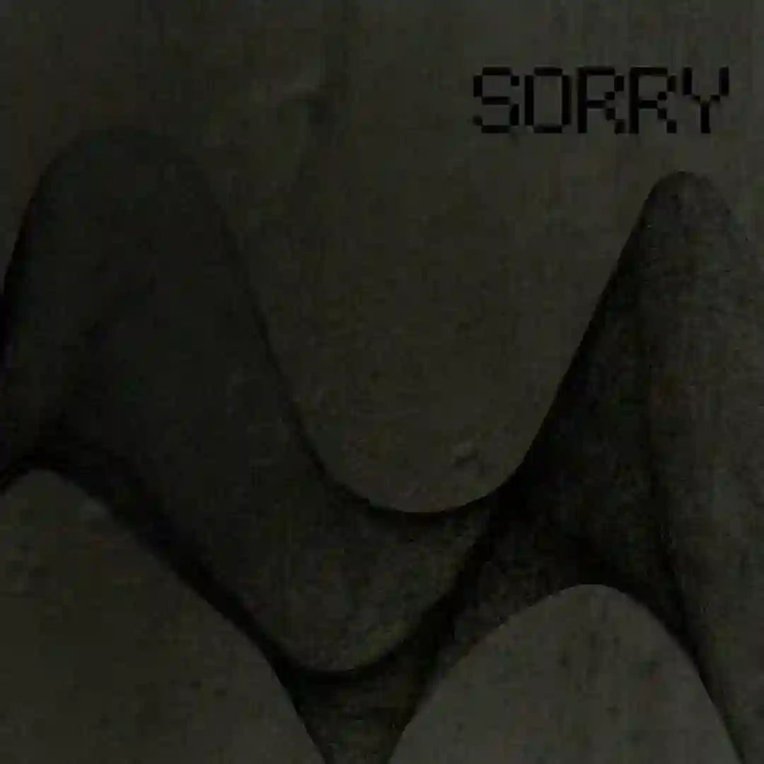 Sorry (Digital Underground) cover