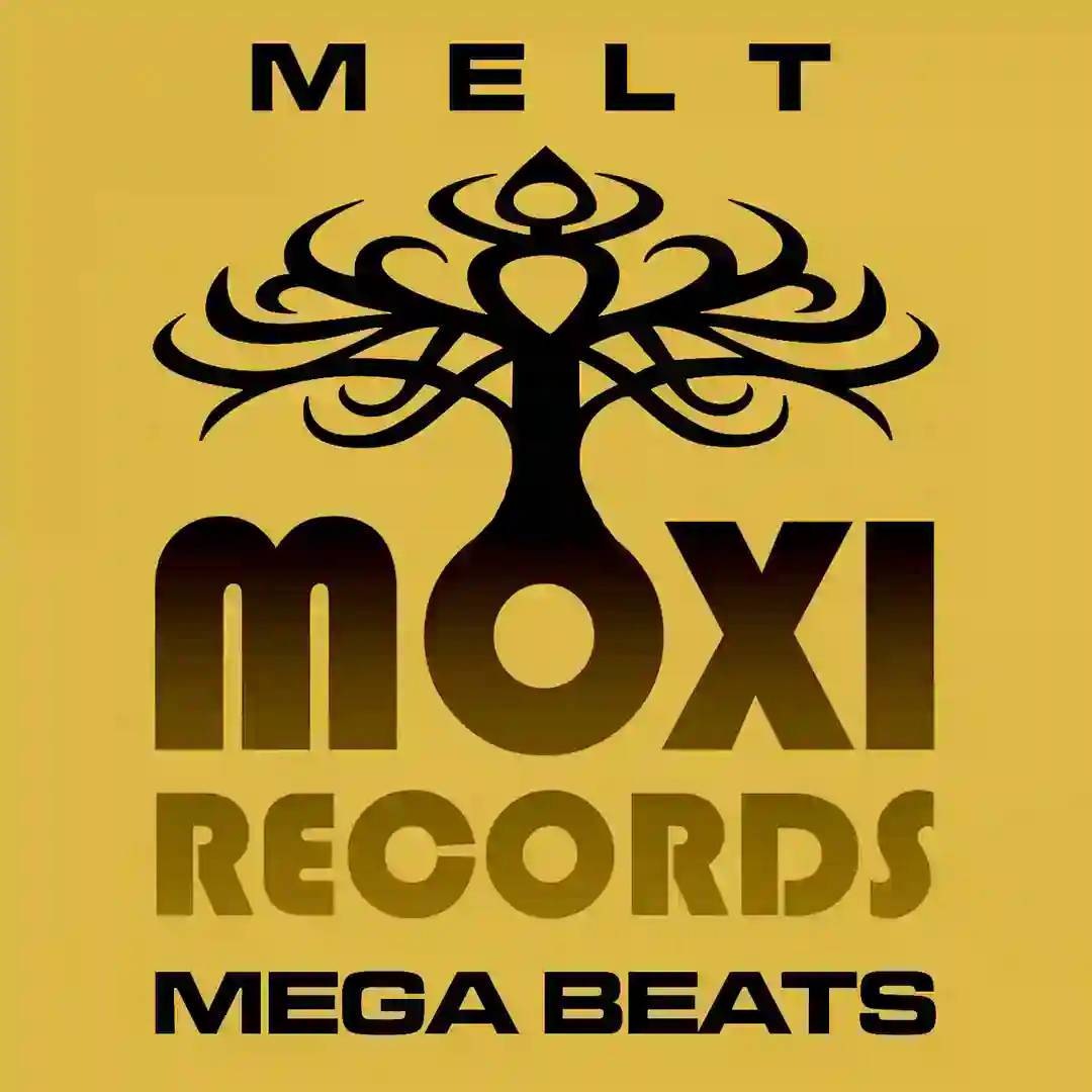 Tardis Beats (Original Mix) cover