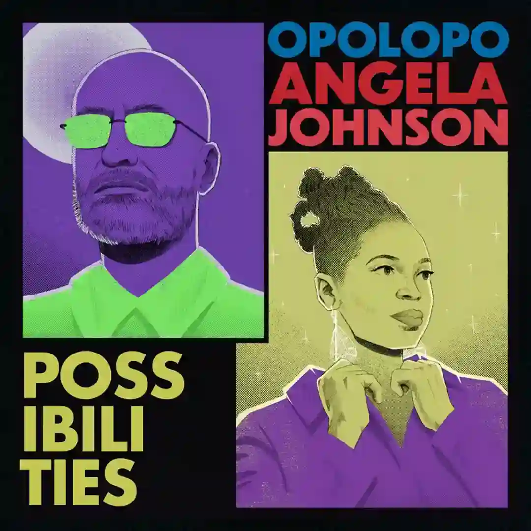 Possibilities (Radio Edit) cover