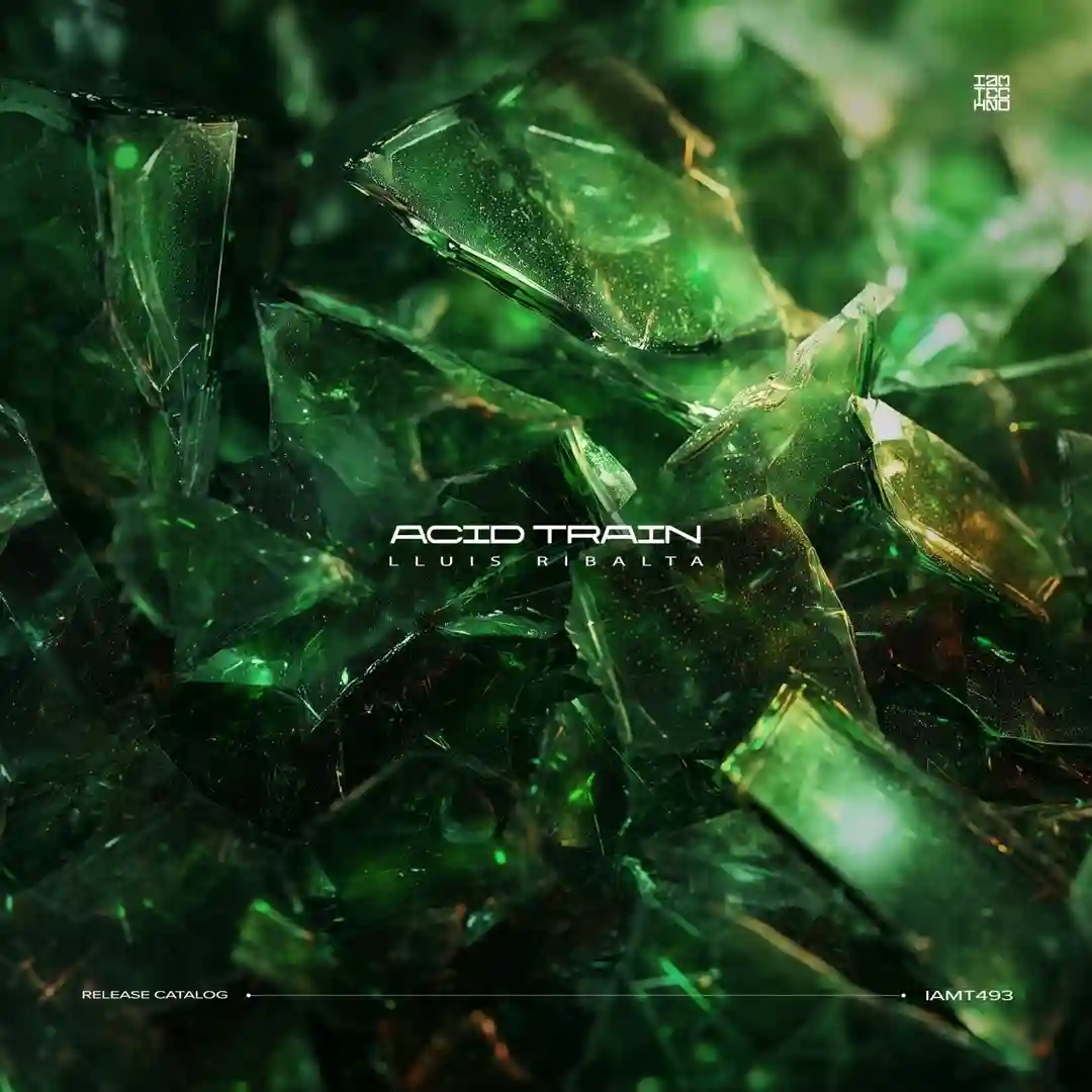 Acid Train (Original Mix) cover