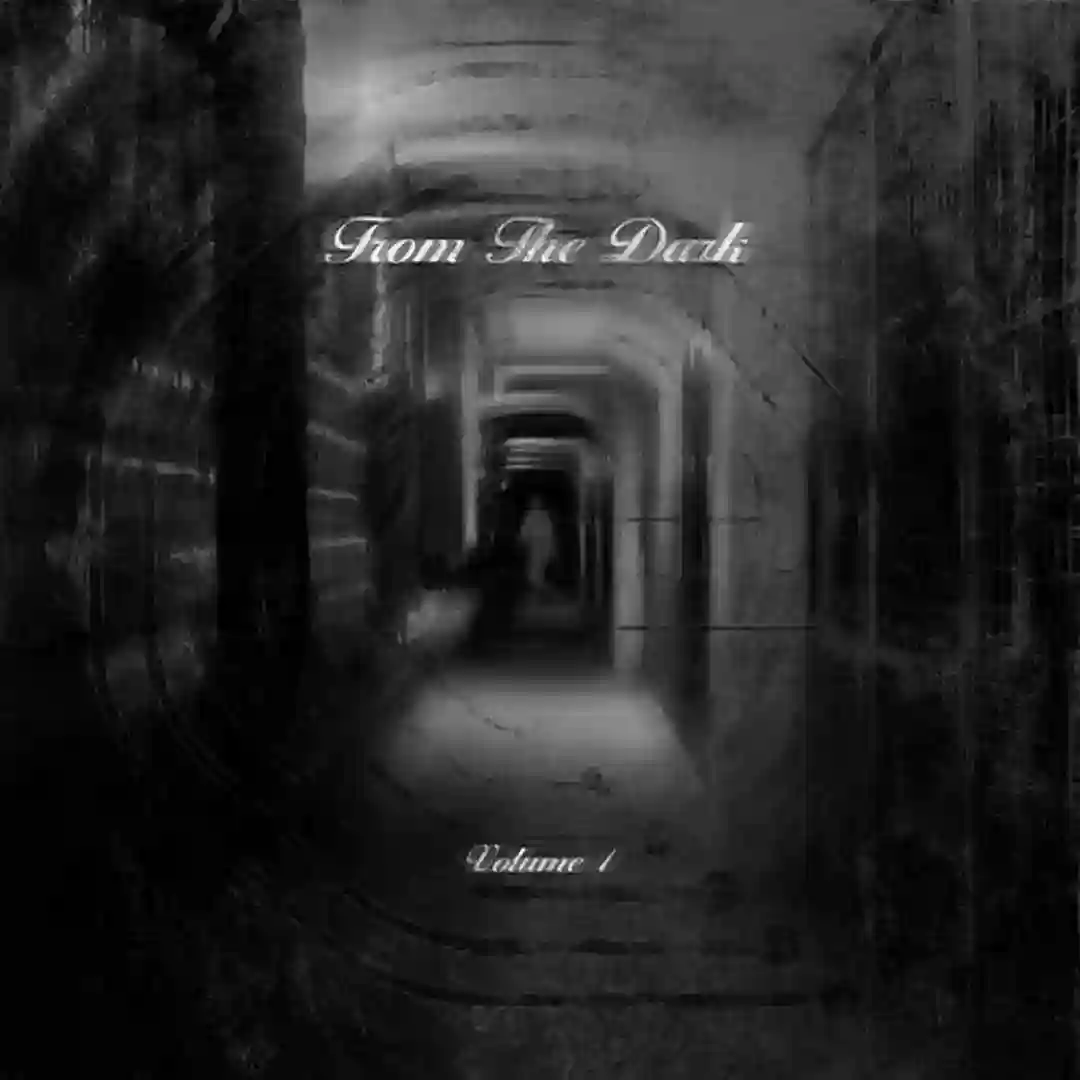 VVS (Original Mix) cover