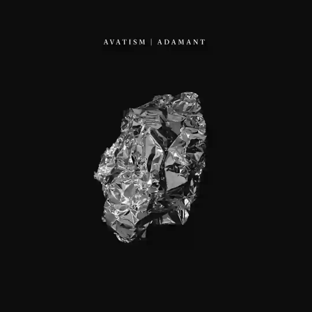 Not Everything Is Lost cover