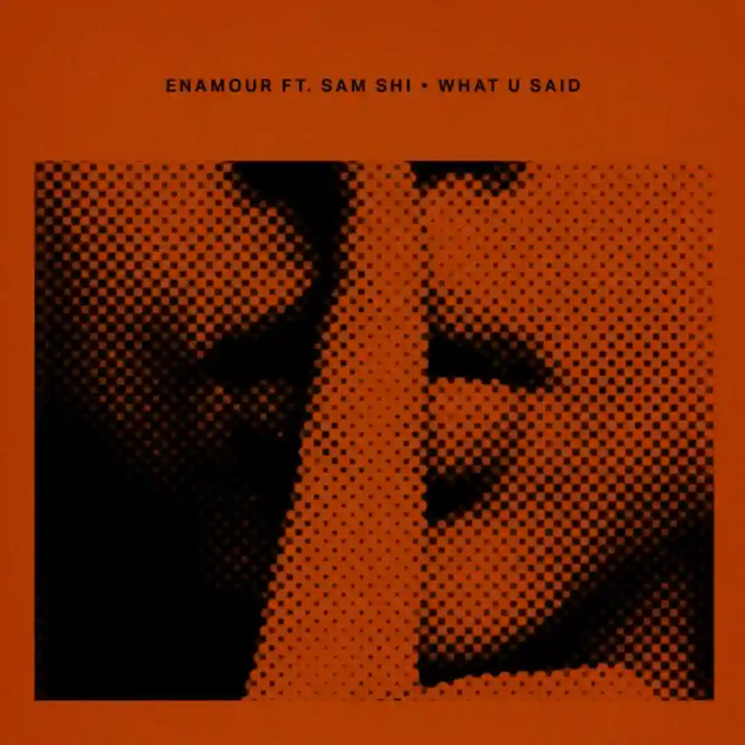 What U Said (Bonafique Remix) cover
