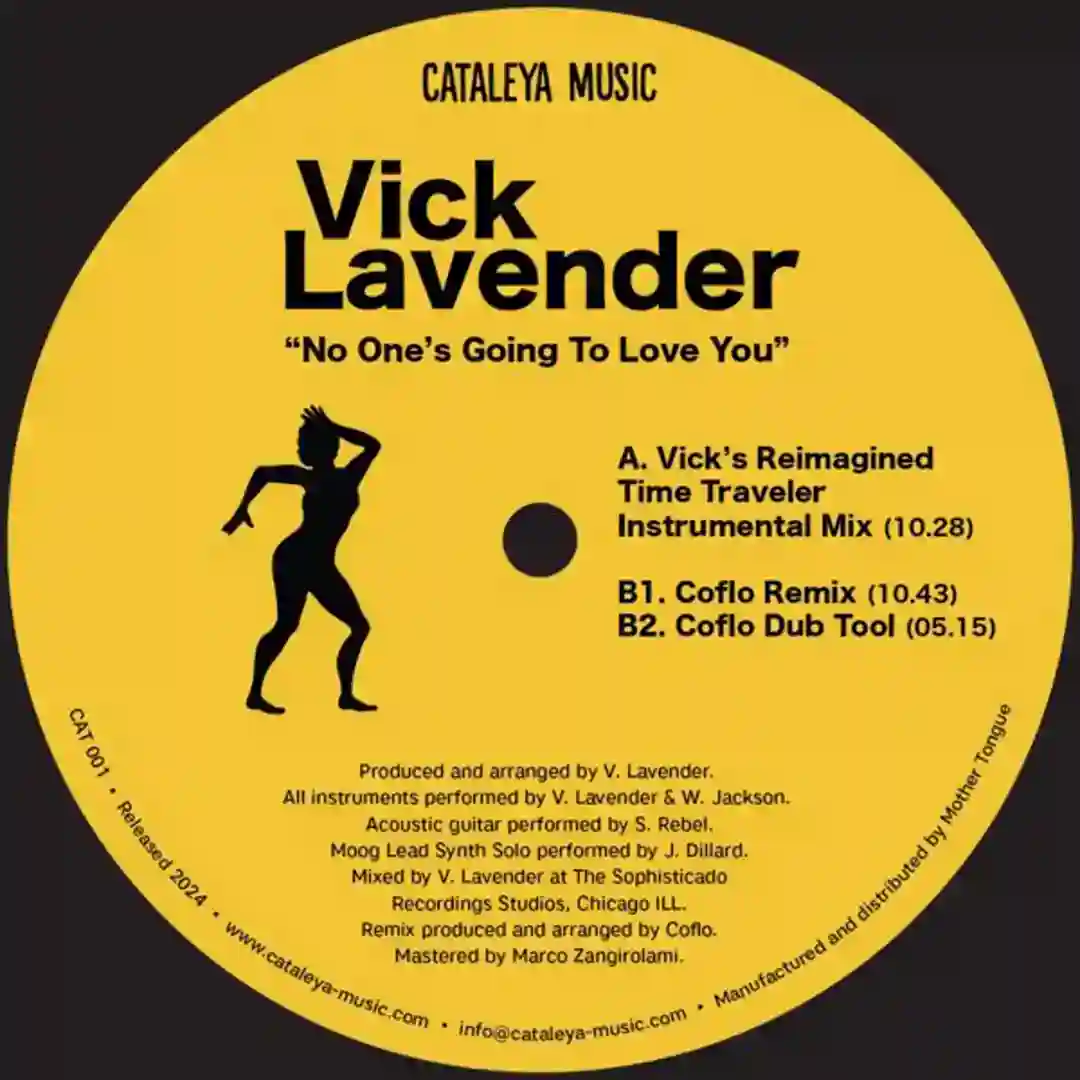No One's Going To Love You (Coflo Remix) cover