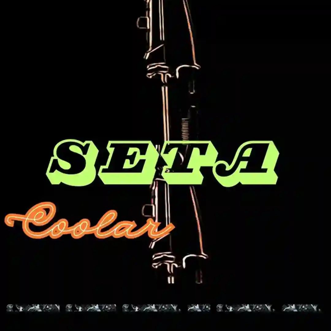 Seta cover