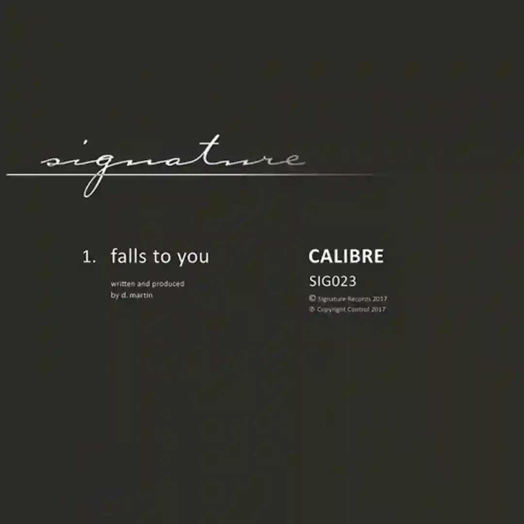 Falls To You (Original Mix) cover