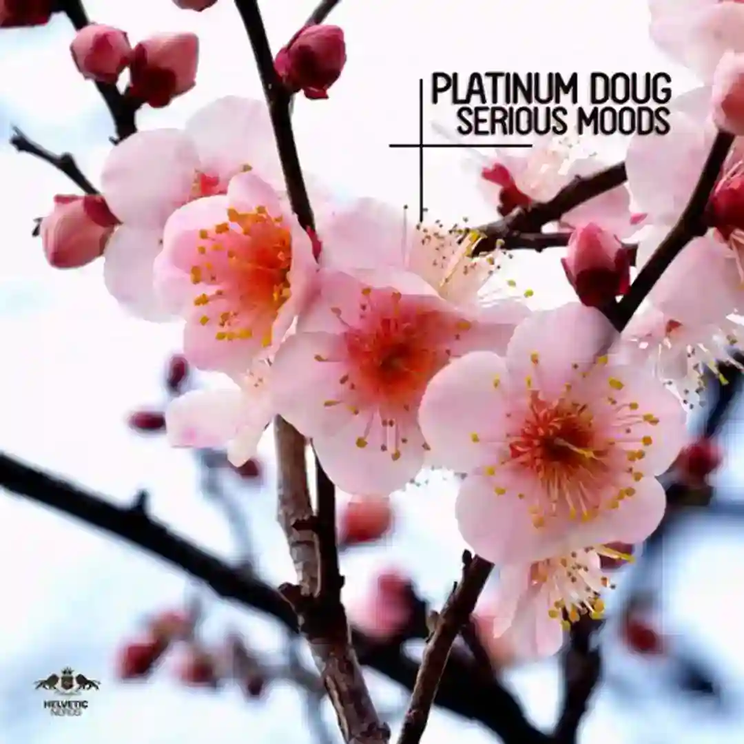 Serious Moods cover