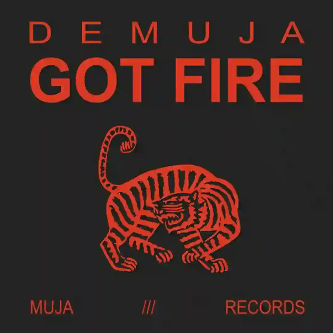 Got Fire cover