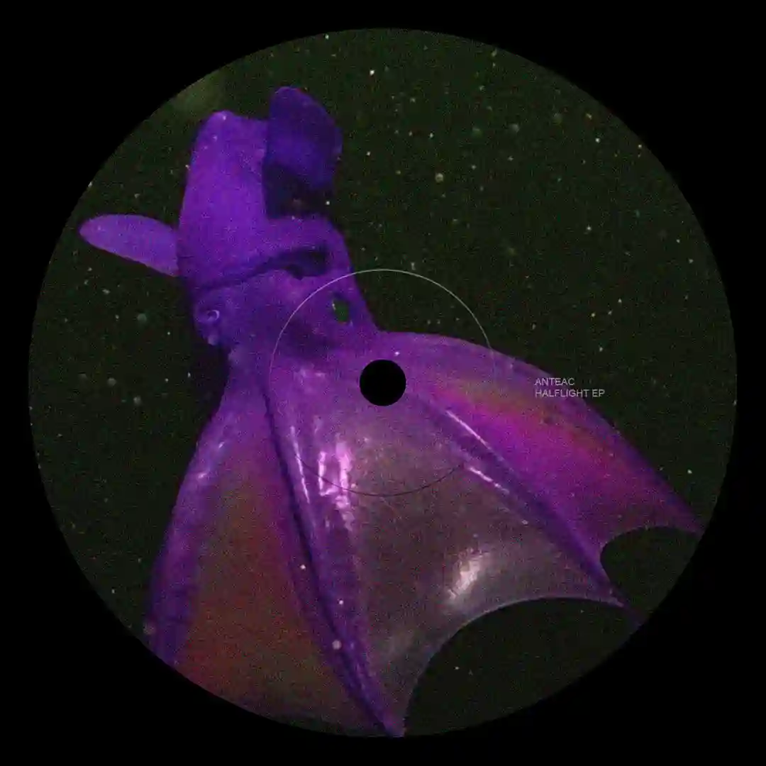 Halflight (Original Mix) cover