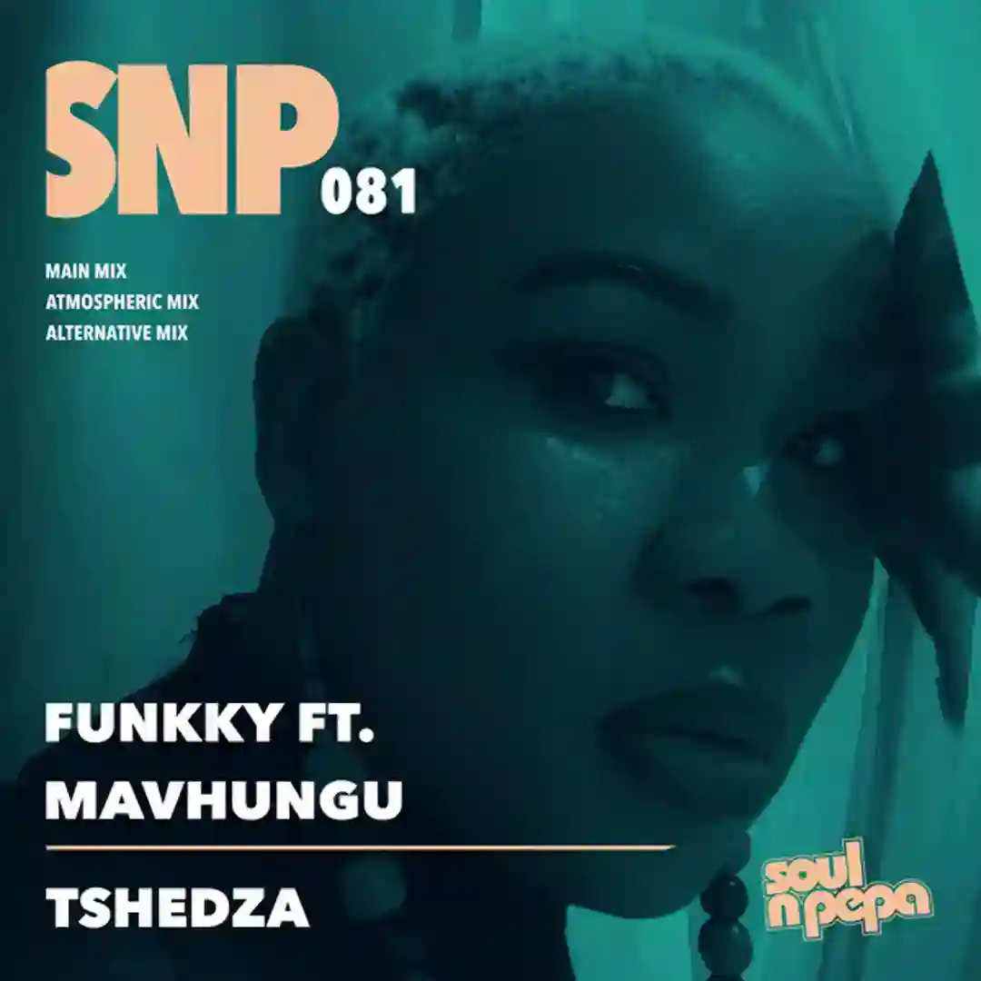 Tshedza cover