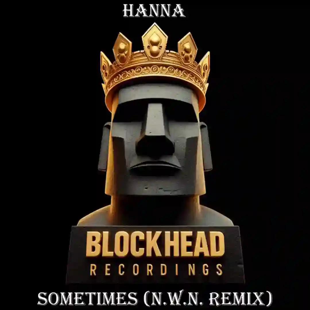 Sometimes (N.W.N. Remix) cover
