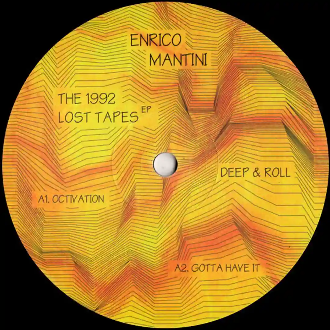 Lost In The Sampler cover