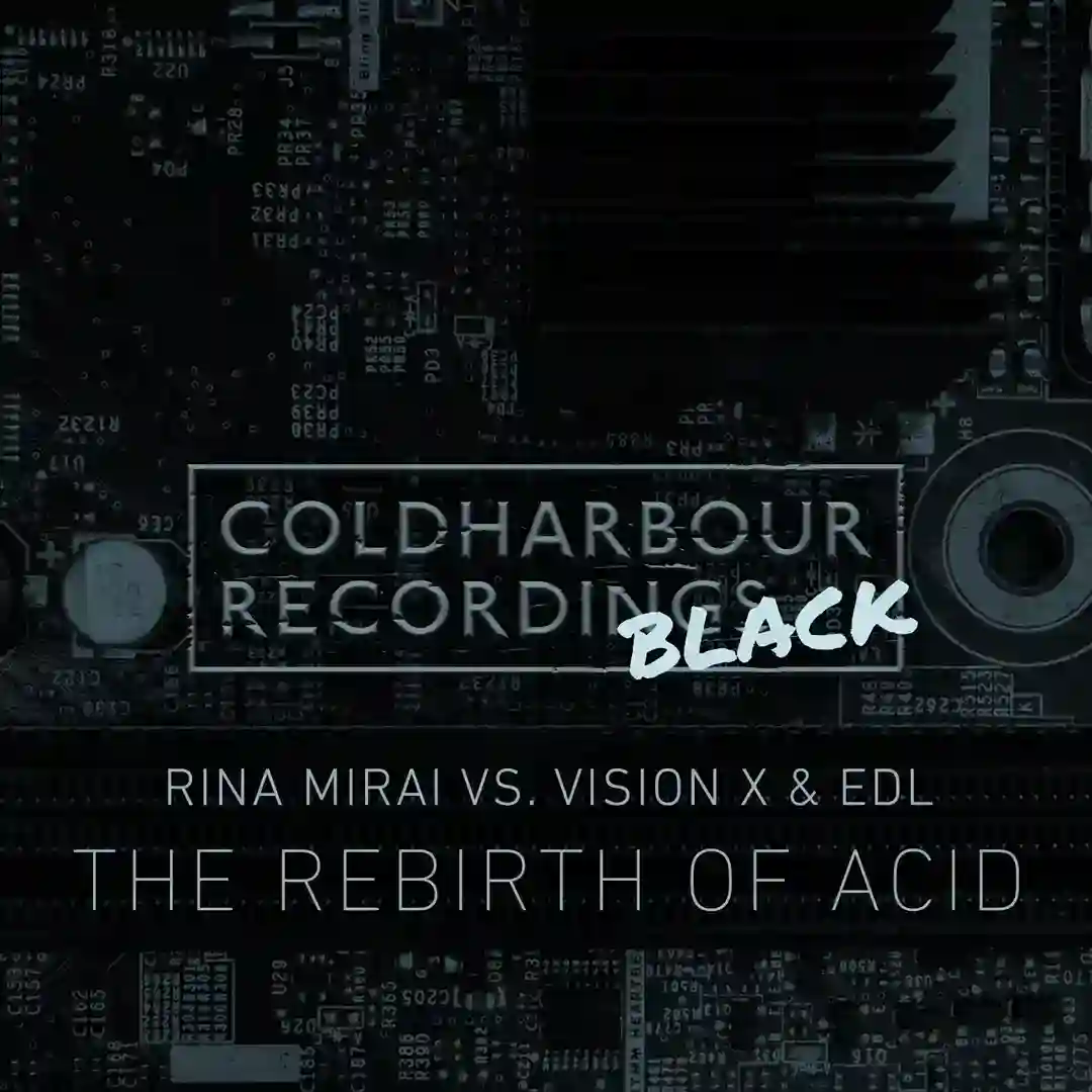 The Rebirth Of Acid (Extended Mix) cover