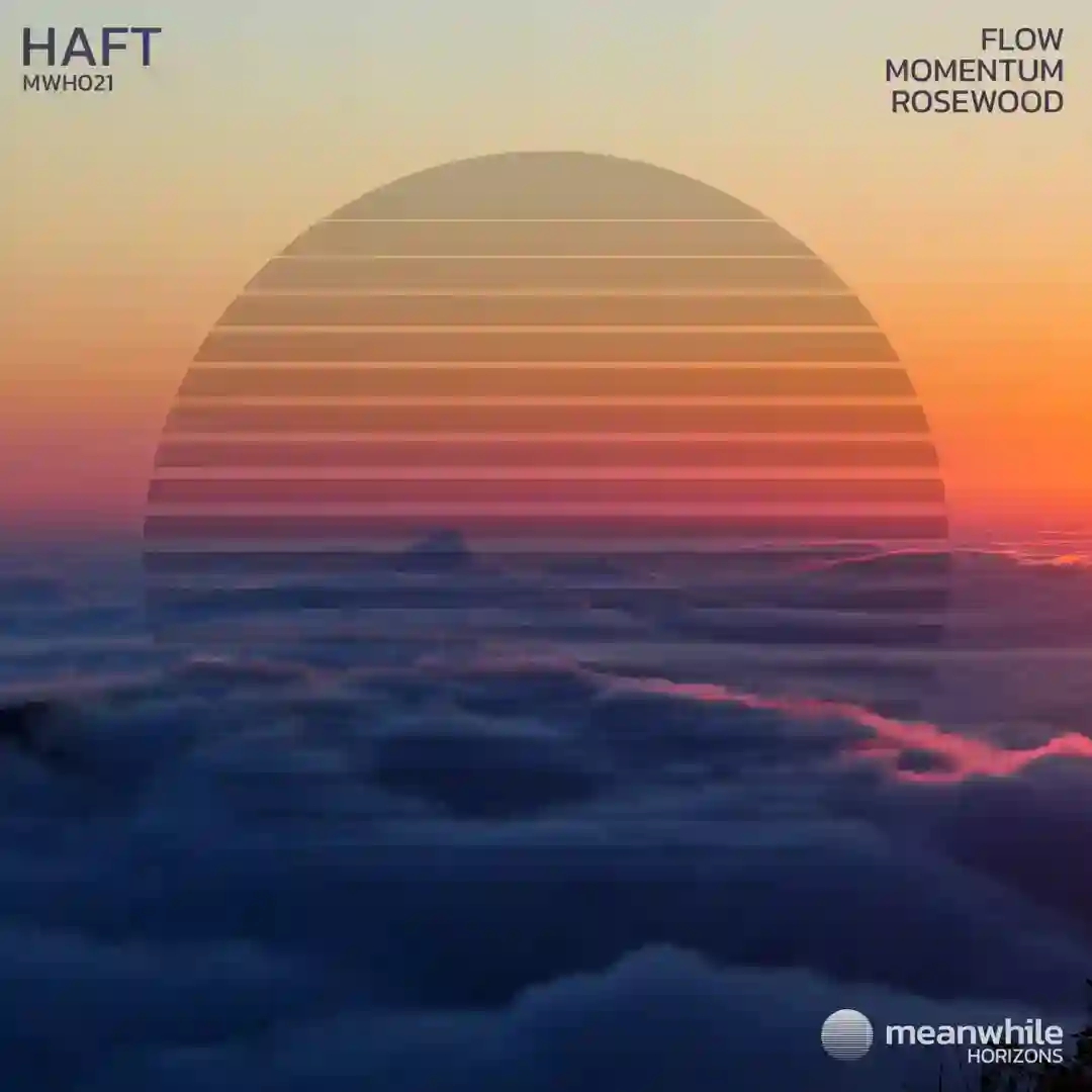 Momentum (Original Mix) cover