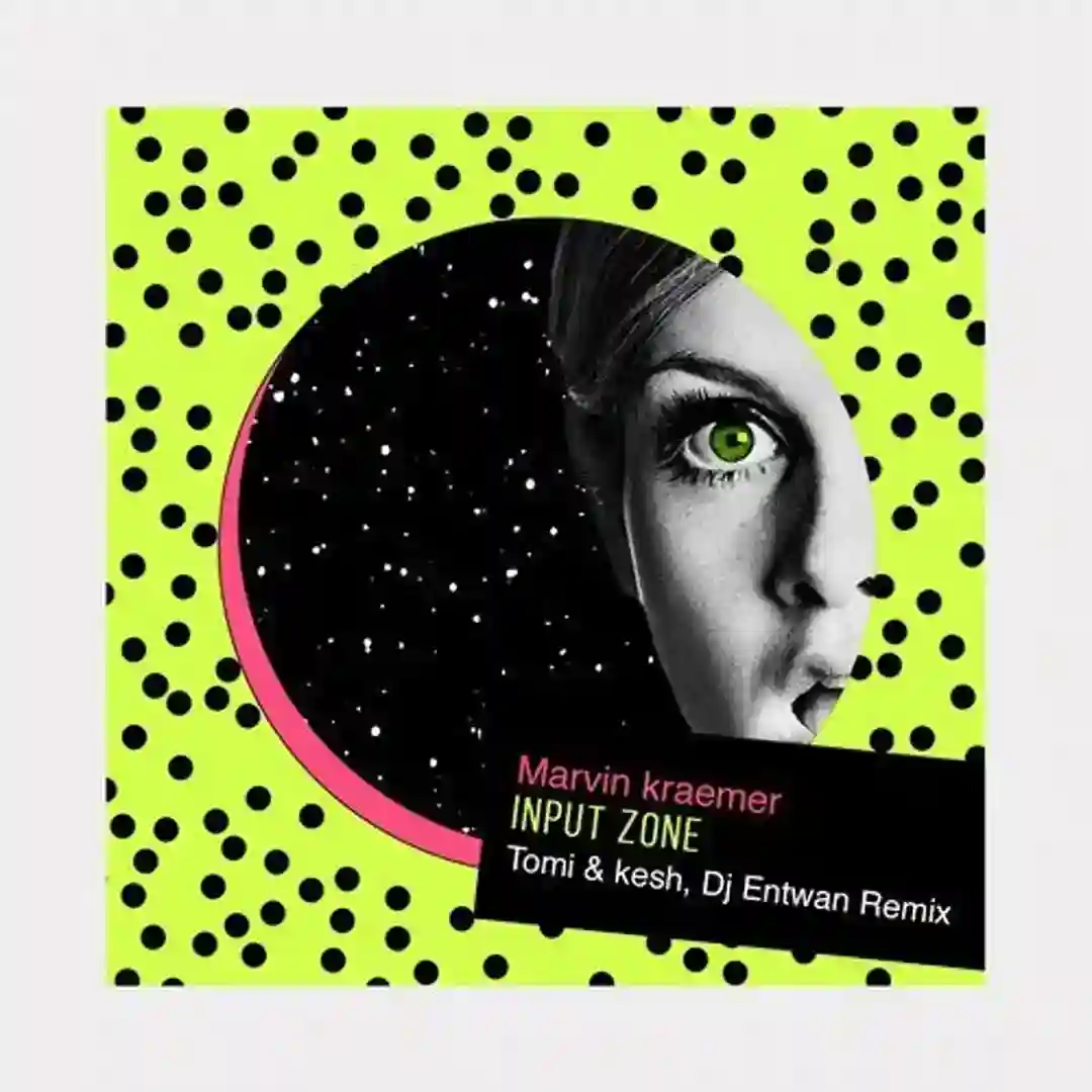 Input Zone (Original Mix) cover