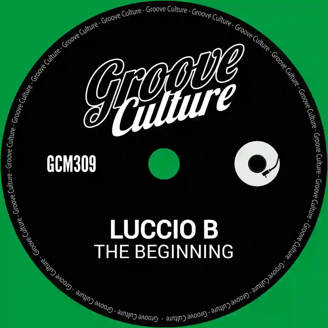 The Beginning (Edit) cover