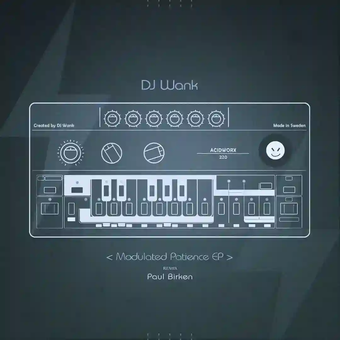 303 Bounce (Original Mix) cover