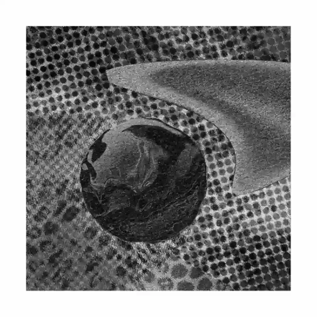 Internal Fomo Kompass cover