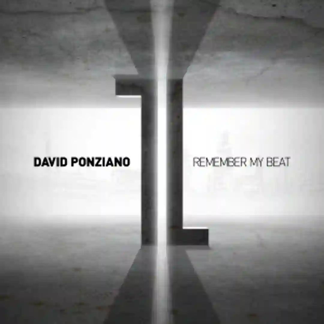 Remember My Beat (Shades of Grey Pareletic Remix) cover
