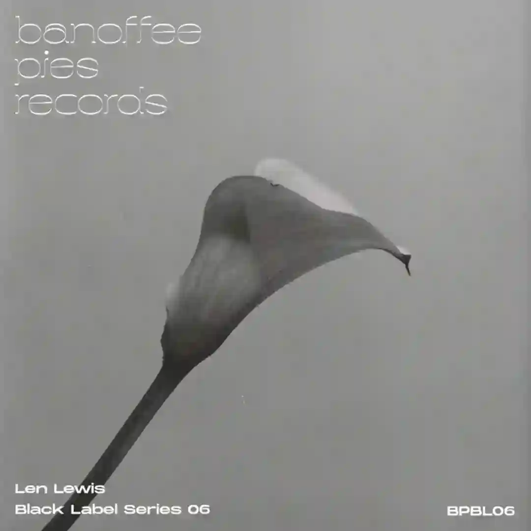 Projection Deep Dub cover