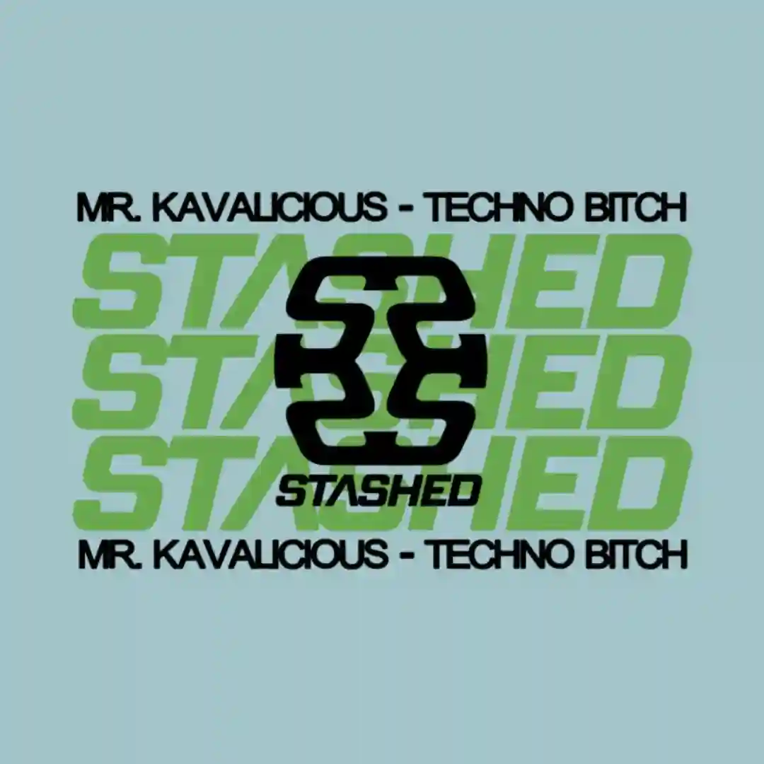 Techno Bitch cover