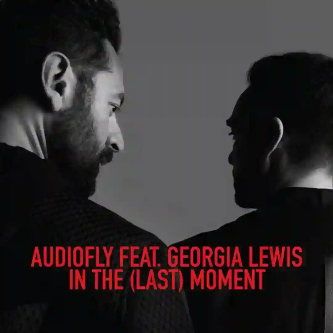 In The (Last) Moment feat. Georgia Lewis (Robag's Ponk Pramen NB Remix) cover