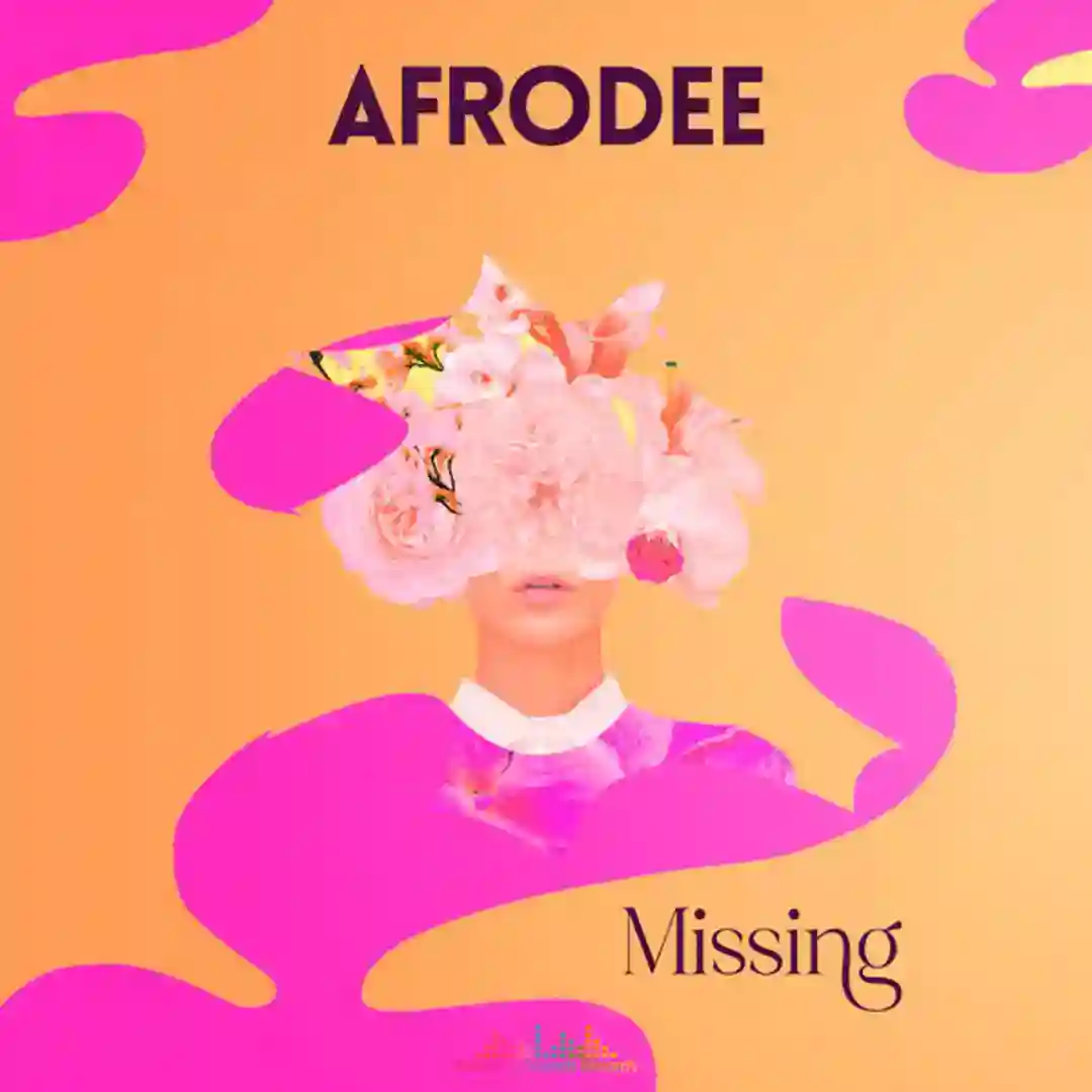 Missing (Original Mix) cover