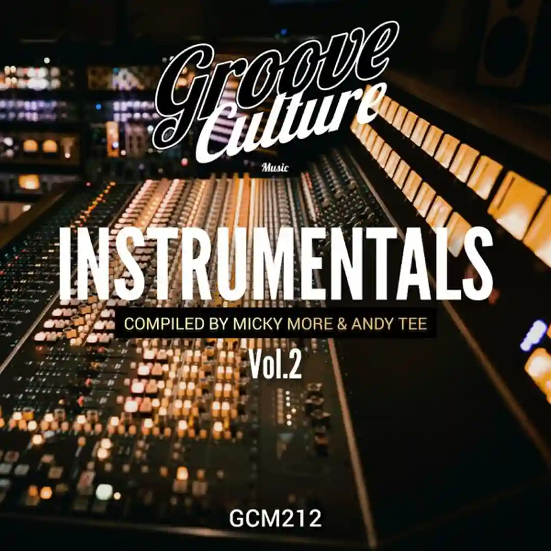 You Bring Joy (Instrumental Mix) cover