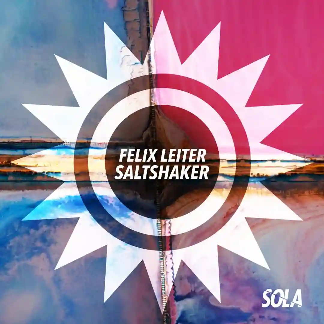 Saltshaker cover