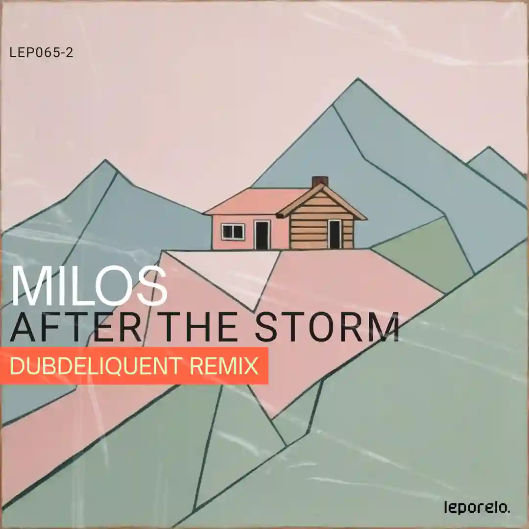 After The Storm (Dubdeliquent Remix) cover