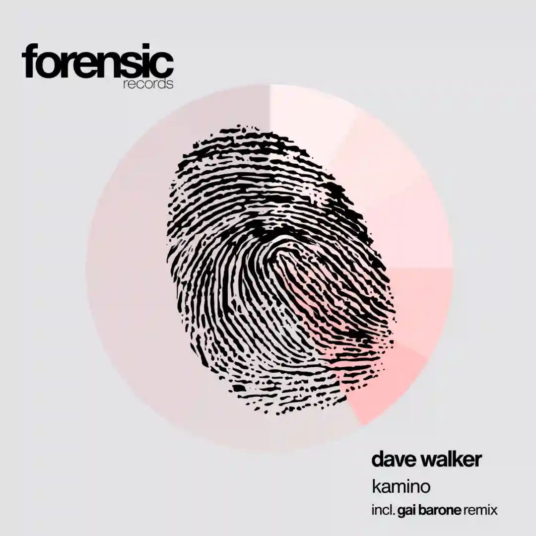 Kamino (Gai Barone Remix) cover