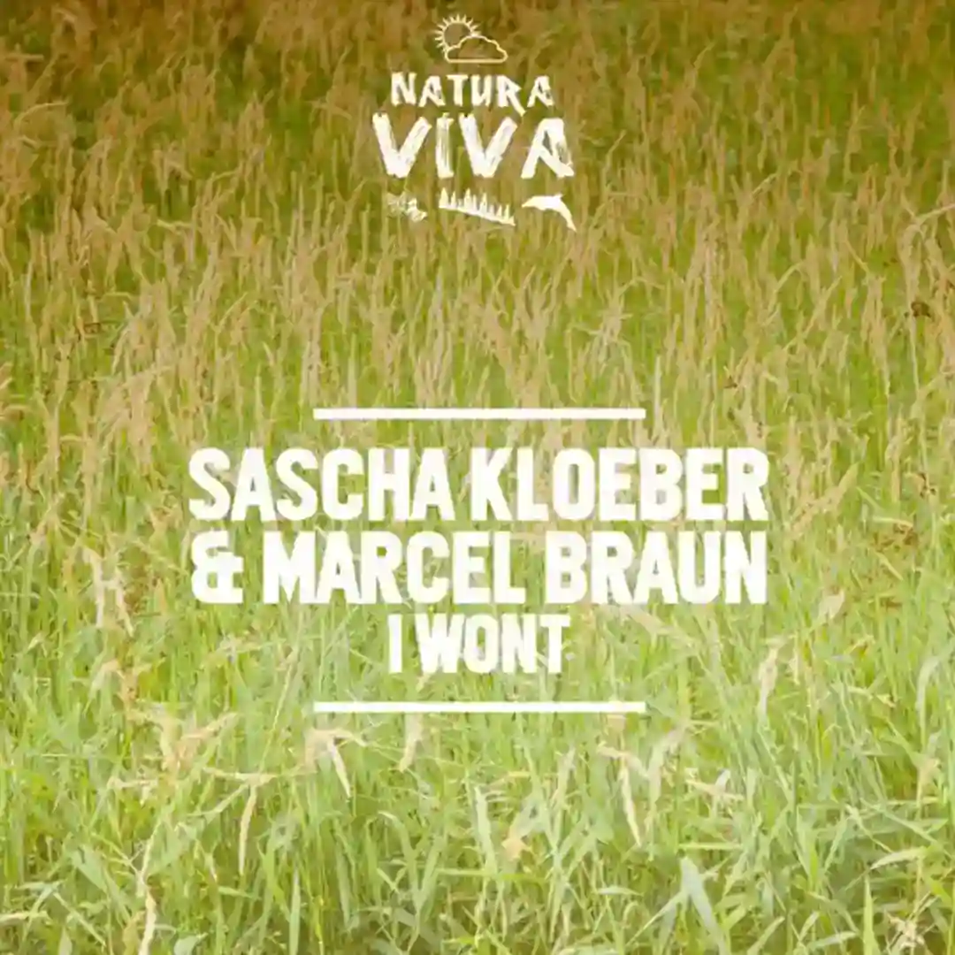 I Wont (Original Mix) cover