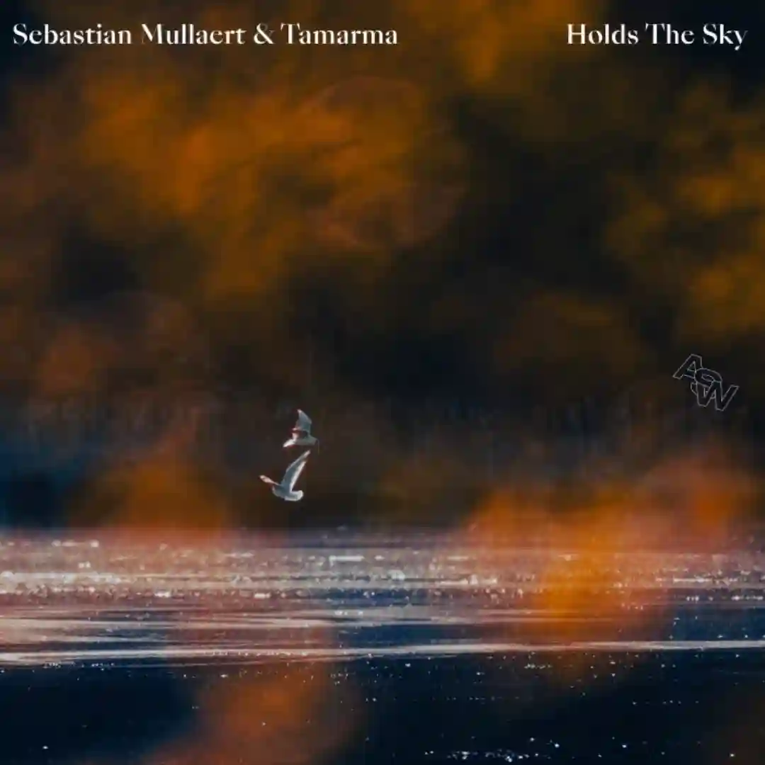 Lost in Dimension (Original Mix) cover