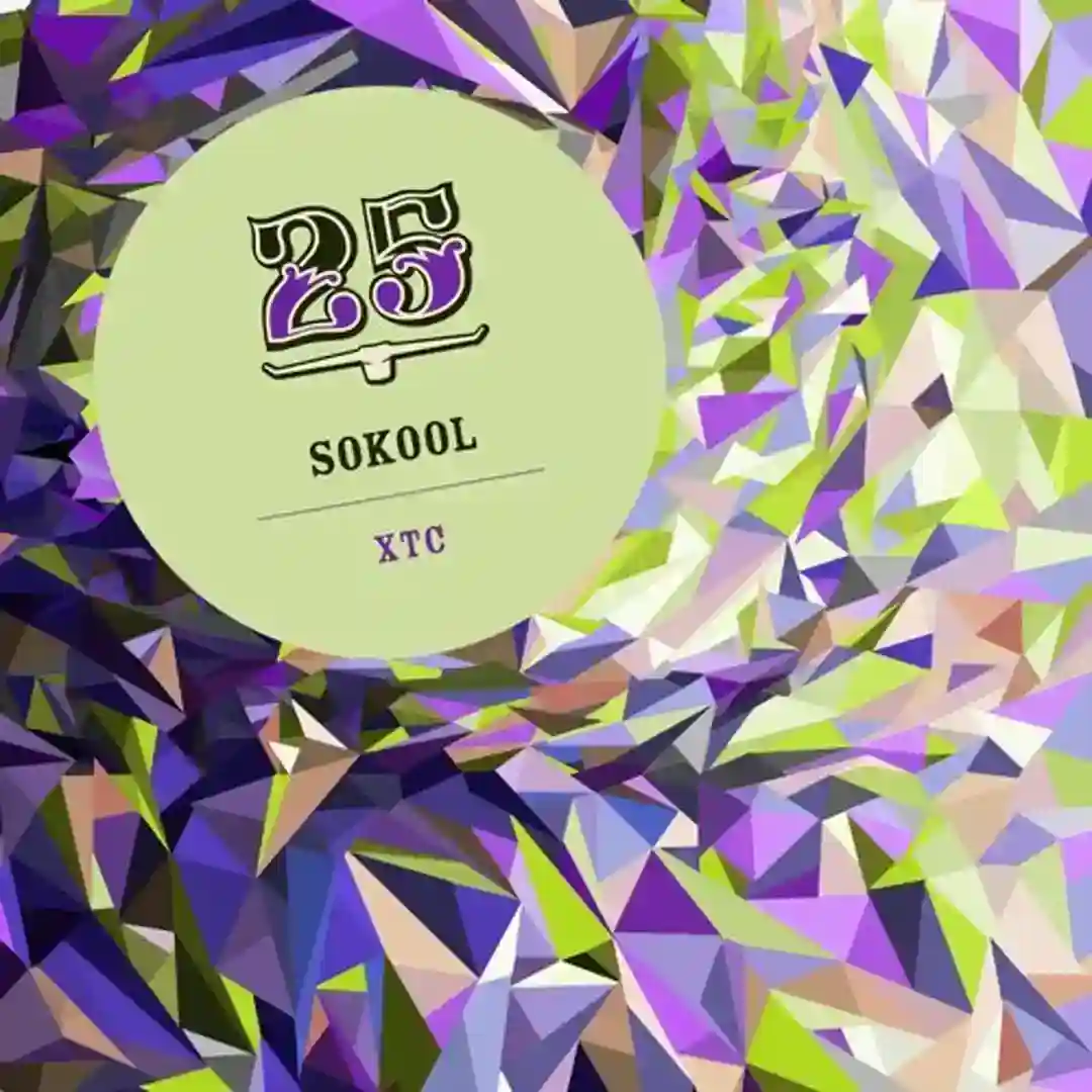 Sundowner (Original Mix) cover