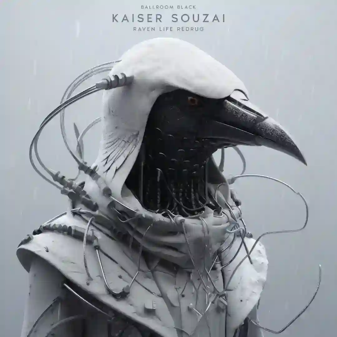 Raven LIfe ReDrug cover