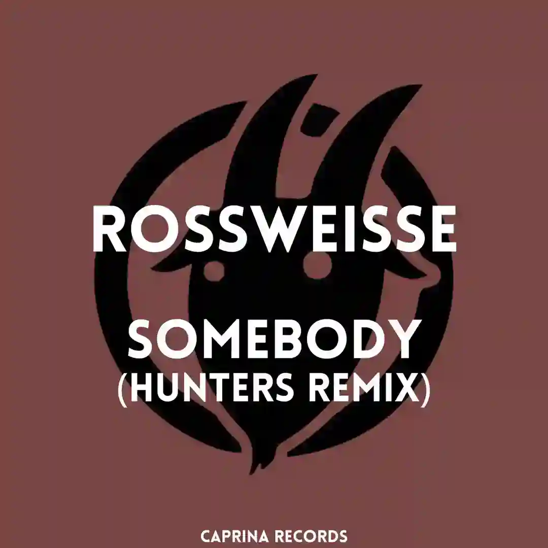 Somebody (Hunters Remix) cover
