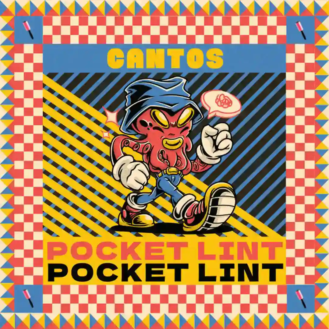 Pocket Lint (Radio Edit) cover