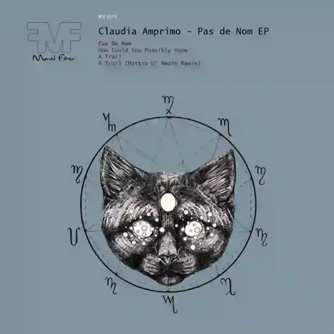 A Trail (Mattia D'Amato Vision Remix) cover