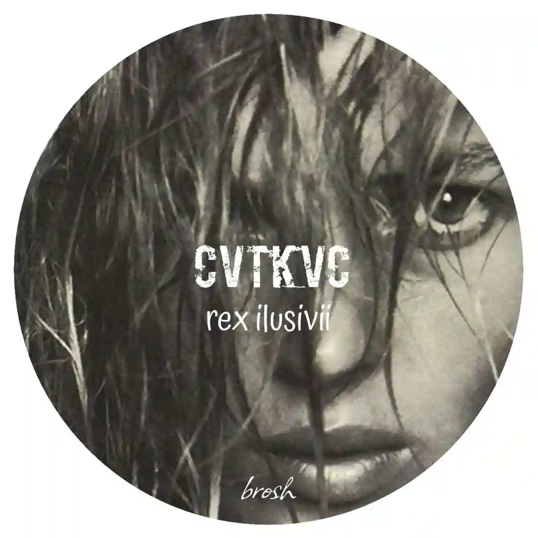 Rex Ilusivii (Original Mix) cover