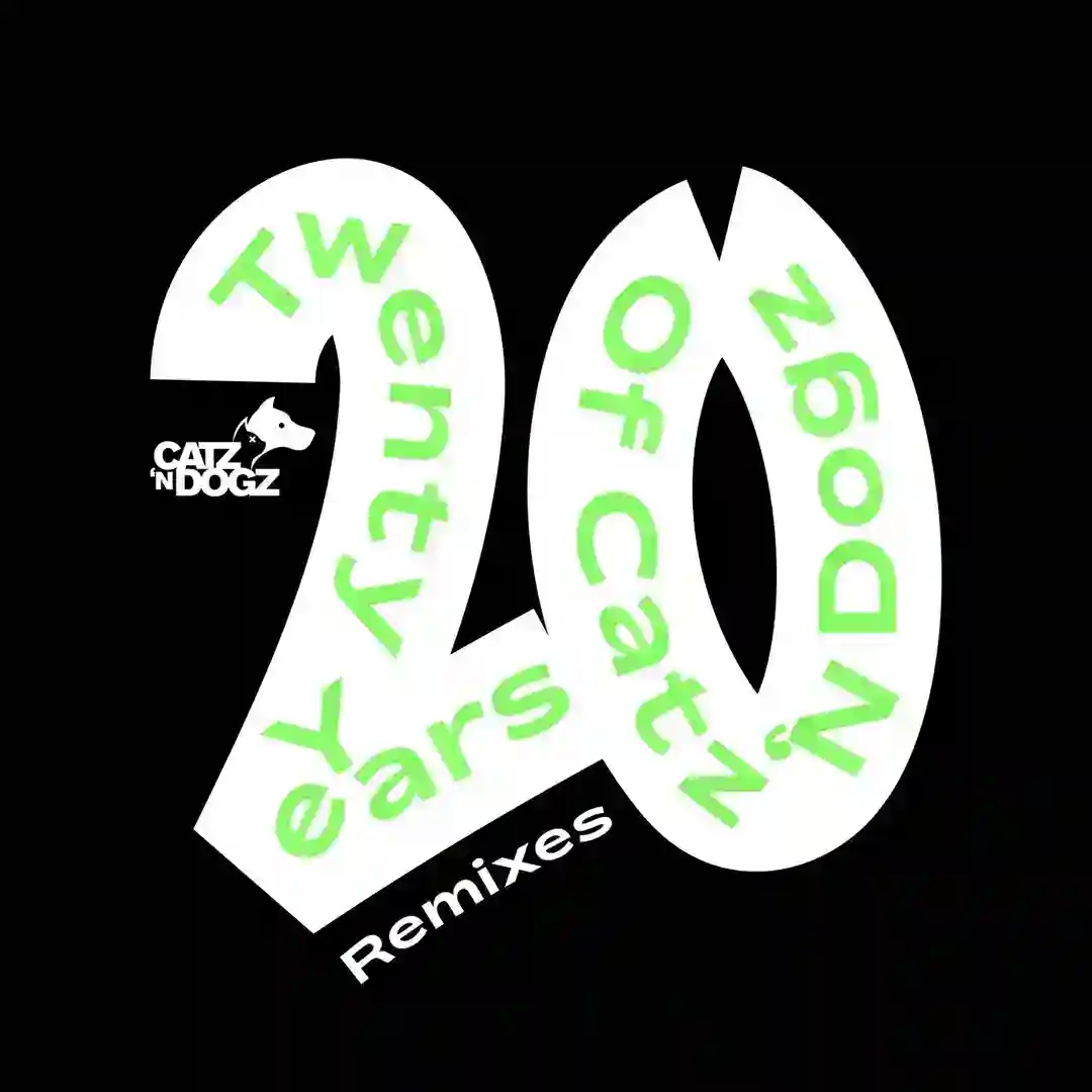 Rave History (Maruwa Remix) cover