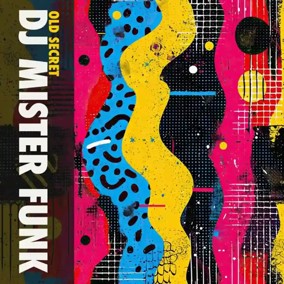 DJ Funk (Original Mix) cover