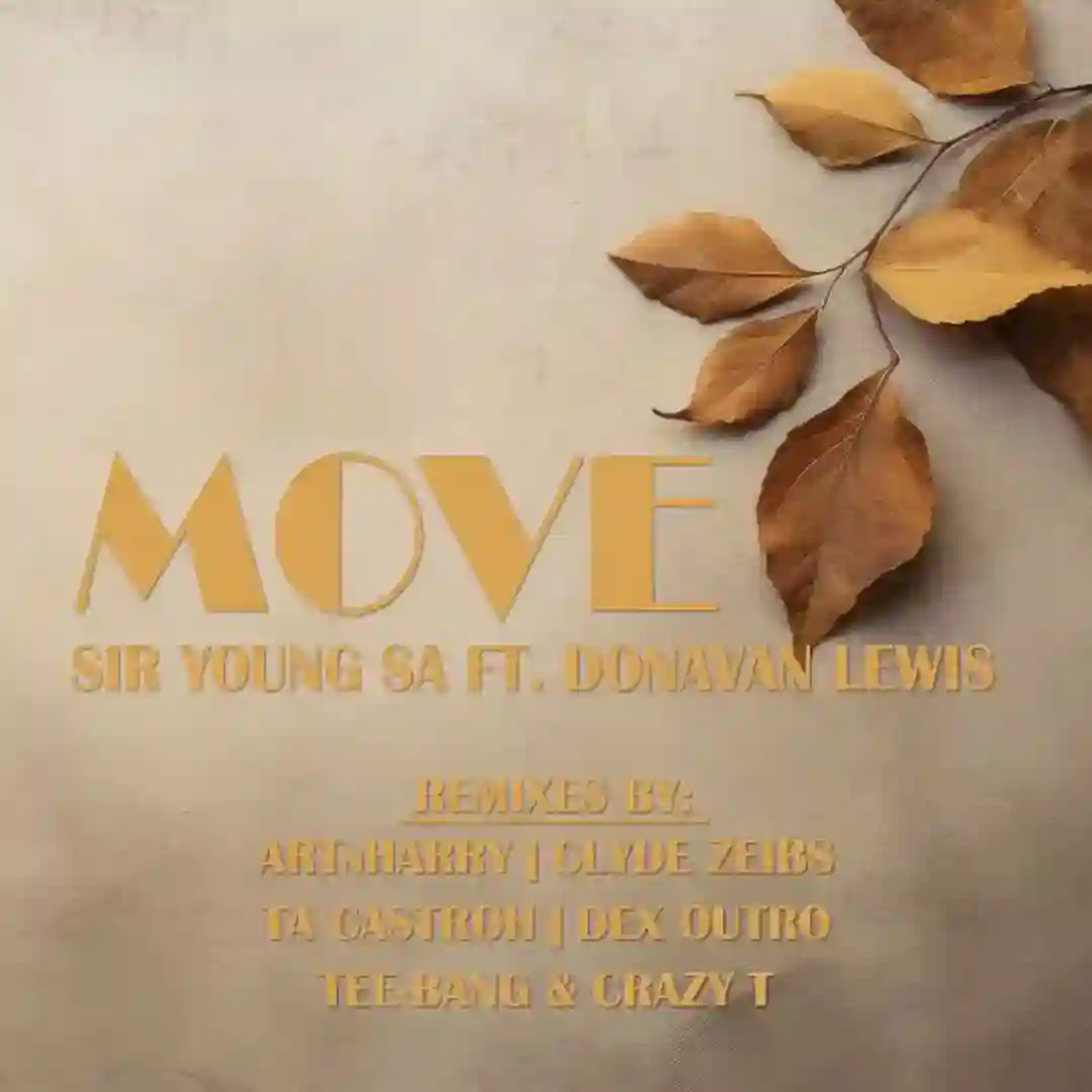 Move (Clyde Zeibs Groovy Dub Mix) cover