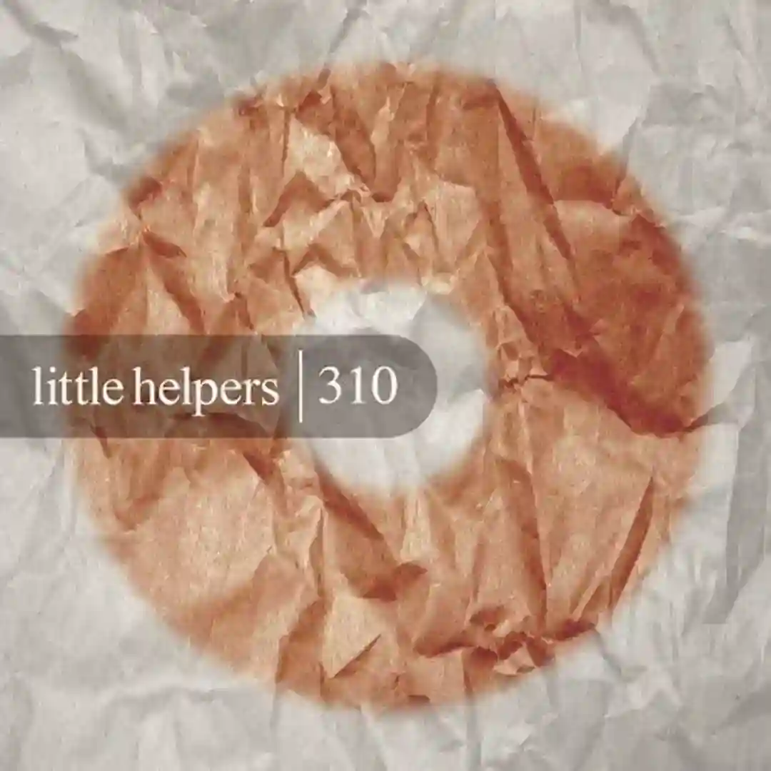 Little Helpers 310 cover