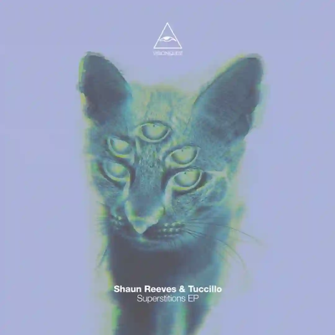 Cavernous (Original Mix) cover
